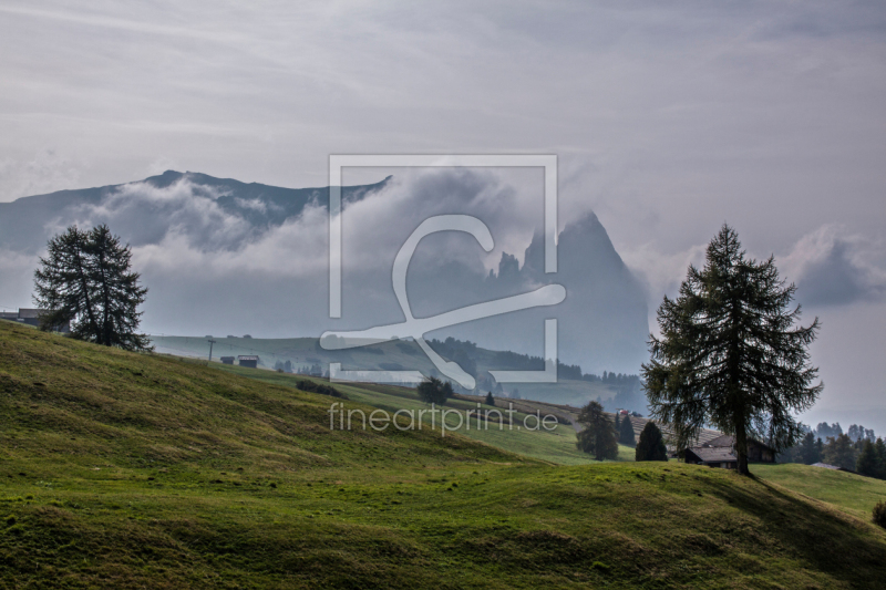frei wählbarer Bildausschnitt für Ihr Bild auf Fensterfolie