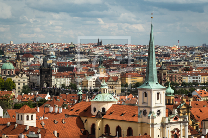 frei wählbarer Bildausschnitt für Ihr Bild auf Fensterfolie