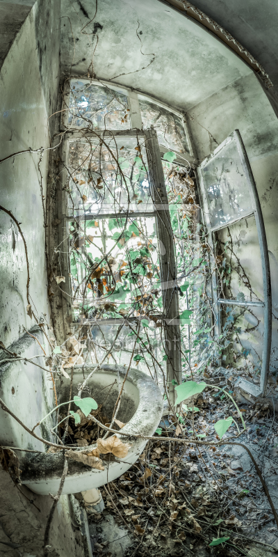 frei wählbarer Bildausschnitt für Ihr Bild auf Fensterfolie