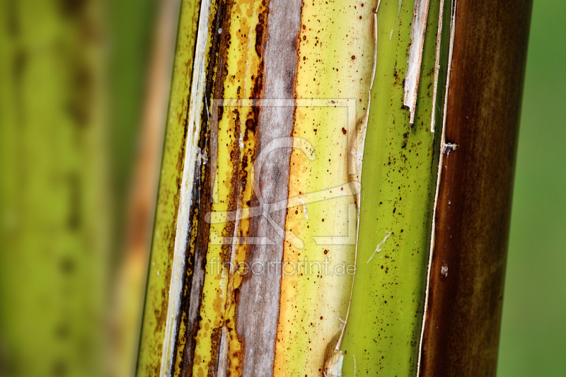 frei wählbarer Bildausschnitt für Ihr Bild auf Fensterfolie
