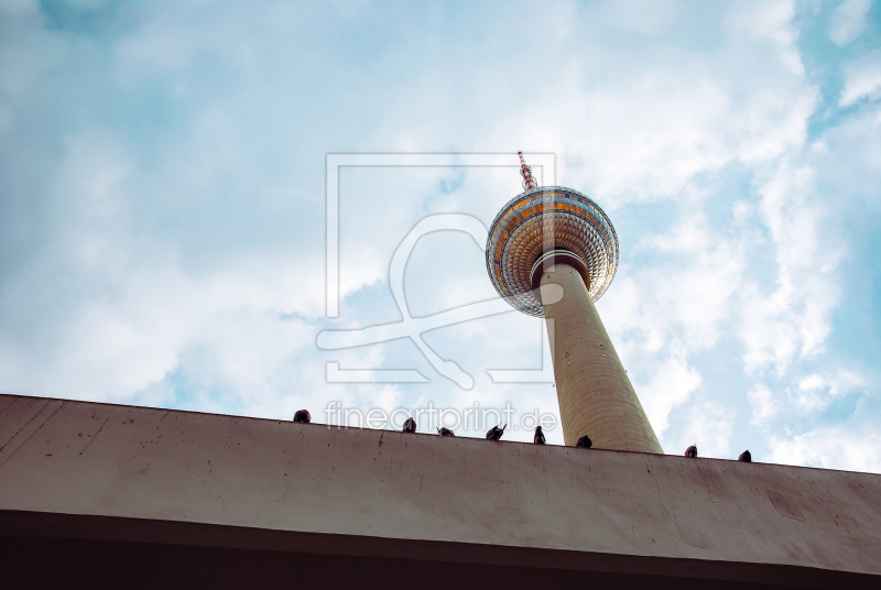 frei wählbarer Bildausschnitt für Ihr Bild auf Fensterfolie