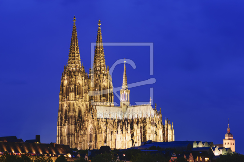 frei wählbarer Bildausschnitt für Ihr Bild auf Fensterfolie