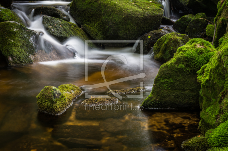 frei wählbarer Bildausschnitt für Ihr Bild auf Fensterfolie