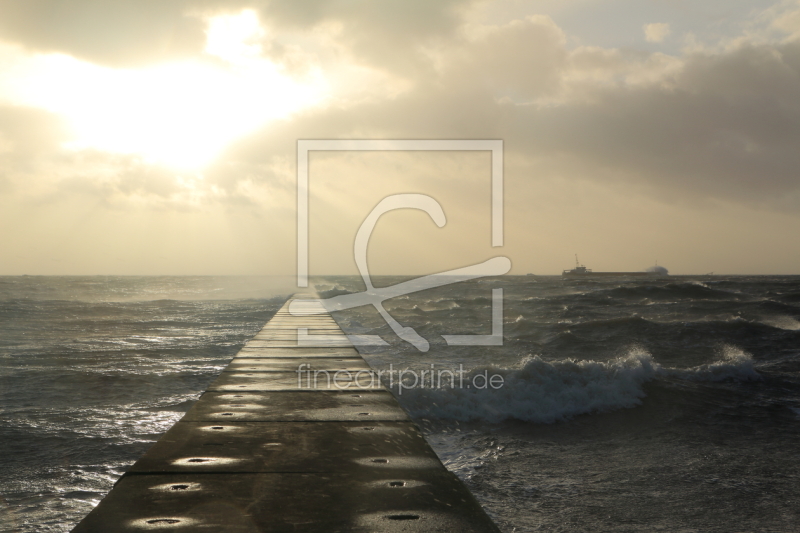 frei wählbarer Bildausschnitt für Ihr Bild auf Fensterfolie