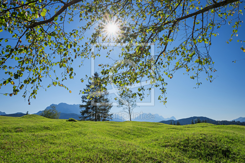 frei wählbarer Bildausschnitt für Ihr Bild auf Fensterfolie