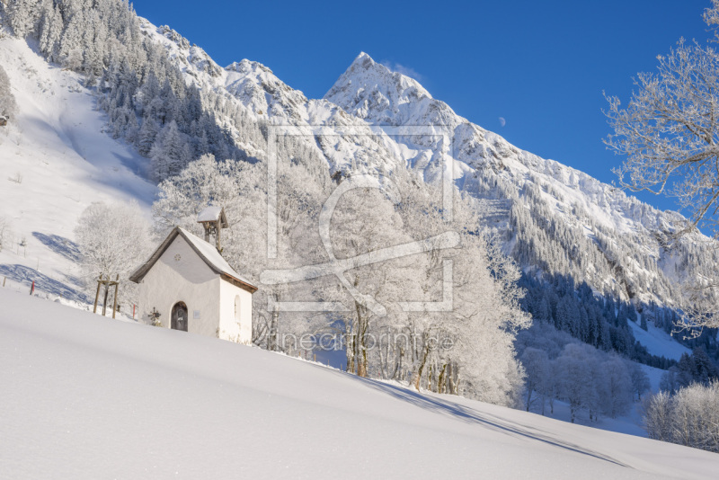 frei wählbarer Bildausschnitt für Ihr Bild auf Fensterfolie