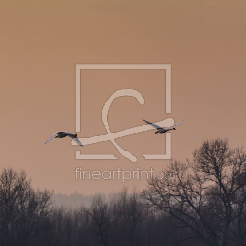 frei wählbarer Bildausschnitt für Ihr Bild auf Fensterfolie