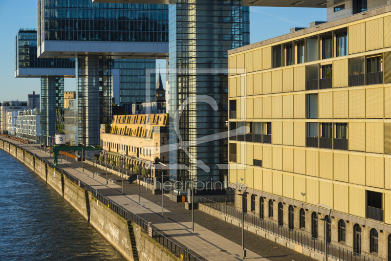 frei wählbarer Bildausschnitt für Ihr Bild auf Fensterfolie