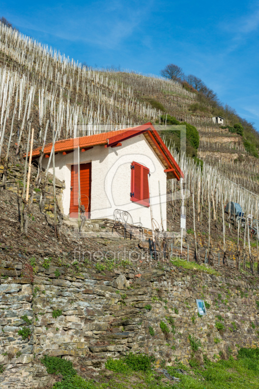 frei wählbarer Bildausschnitt für Ihr Bild auf Fensterfolie