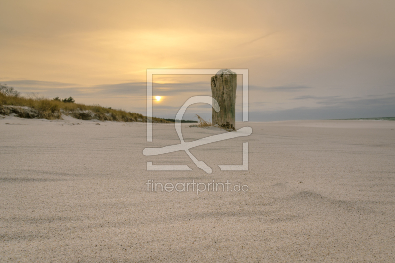 frei wählbarer Bildausschnitt für Ihr Bild auf Fensterfolie