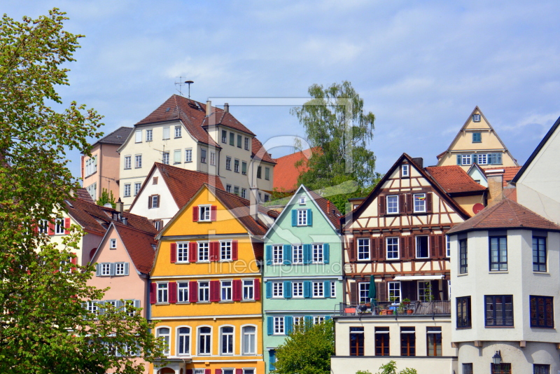 frei wählbarer Bildausschnitt für Ihr Bild auf Fensterfolie