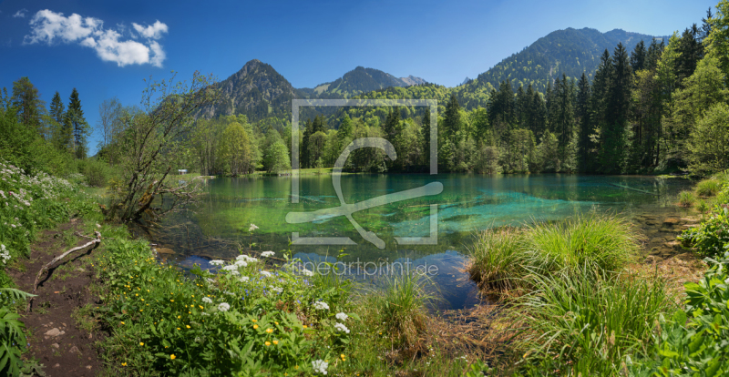 frei wählbarer Bildausschnitt für Ihr Bild auf Fensterfolie