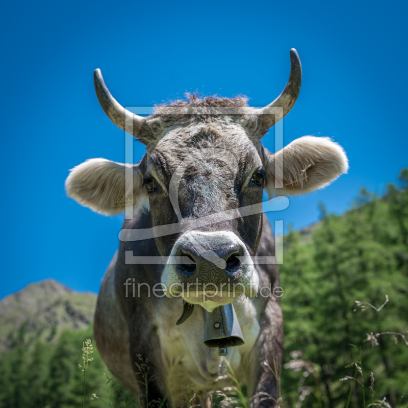 frei wählbarer Bildausschnitt für Ihr Bild auf Fensterfolie