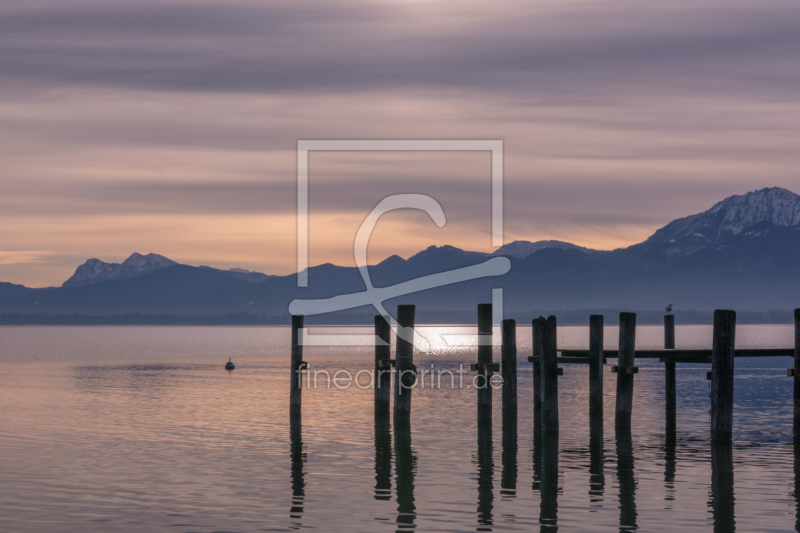 frei wählbarer Bildausschnitt für Ihr Bild auf Fensterfolie