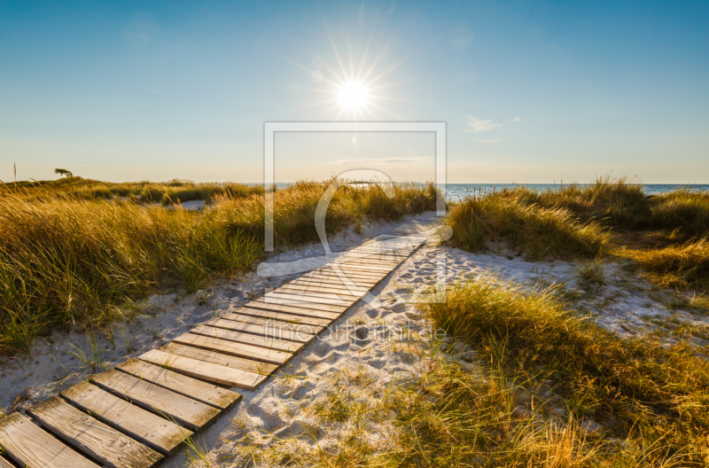 frei wählbarer Bildausschnitt für Ihr Bild auf Fensterfolie