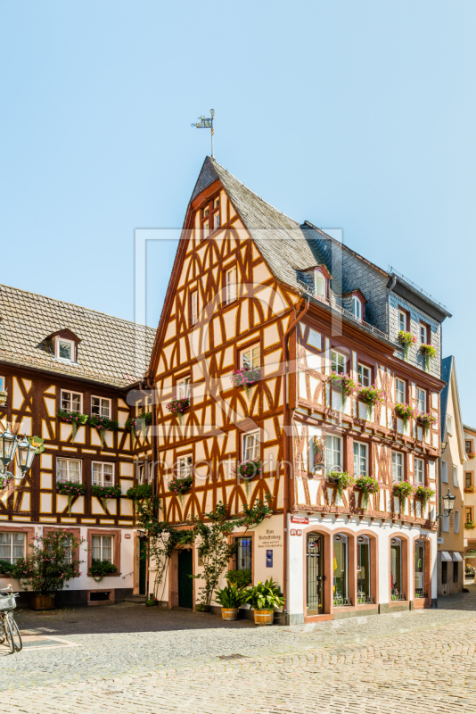 frei wählbarer Bildausschnitt für Ihr Bild auf Fensterfolie