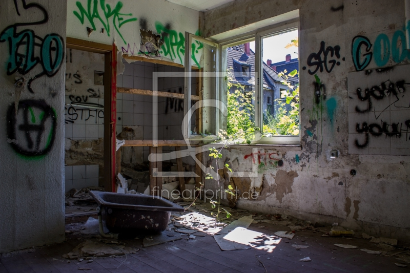 frei wählbarer Bildausschnitt für Ihr Bild auf Fensterfolie