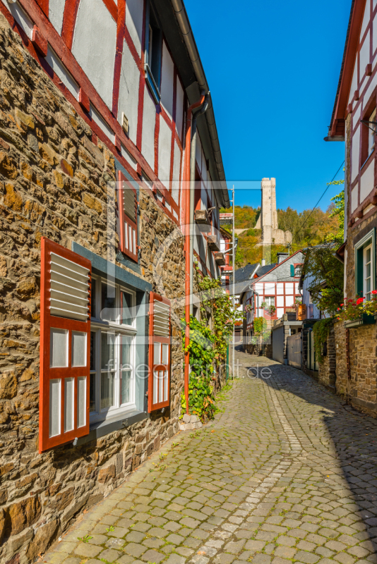 frei wählbarer Bildausschnitt für Ihr Bild auf Fensterfolie