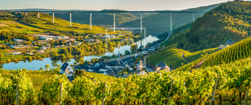 frei wählbarer Bildausschnitt für Ihr Bild auf Fensterfolie