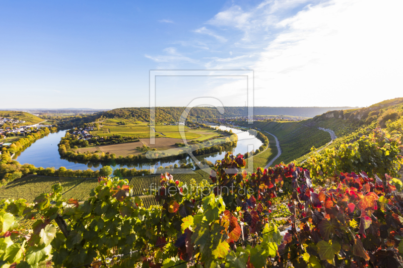 frei wählbarer Bildausschnitt für Ihr Bild auf Fensterfolie