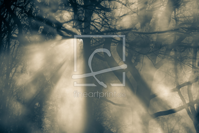 frei wählbarer Bildausschnitt für Ihr Bild auf Fensterfolie