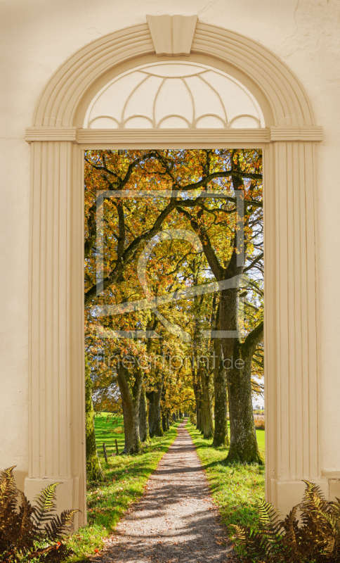 frei wählbarer Bildausschnitt für Ihr Bild auf Fensterfolie