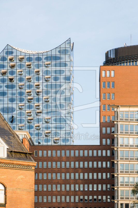 frei wählbarer Bildausschnitt für Ihr Bild auf Fensterfolie