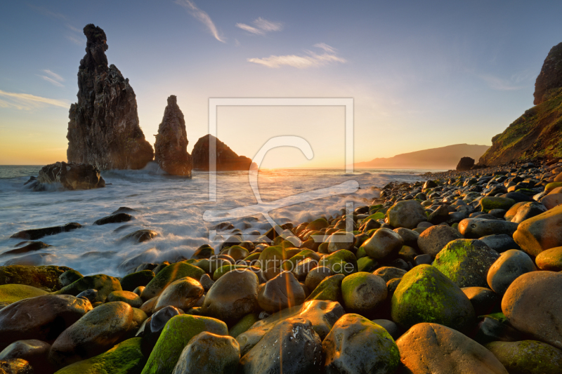 frei wählbarer Bildausschnitt für Ihr Bild auf Fensterfolie