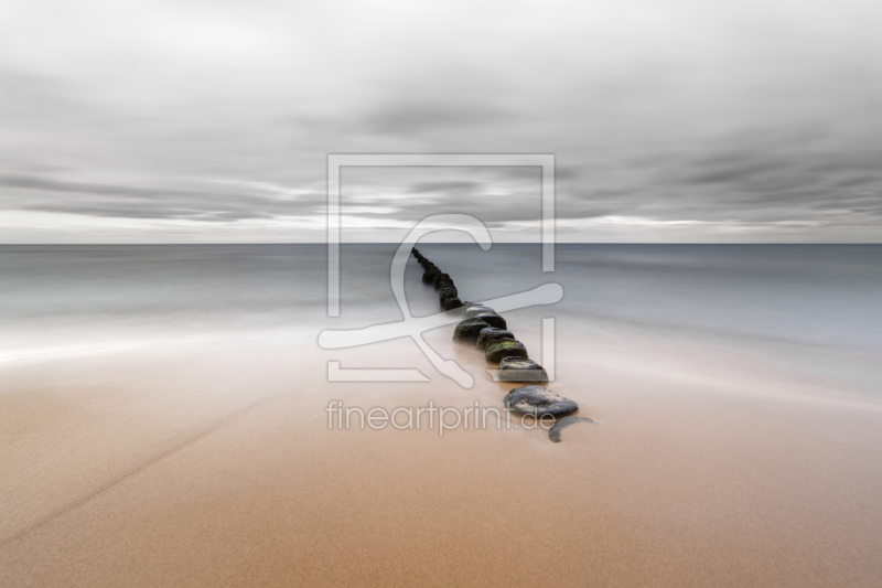 frei wählbarer Bildausschnitt für Ihr Bild auf Fensterfolie