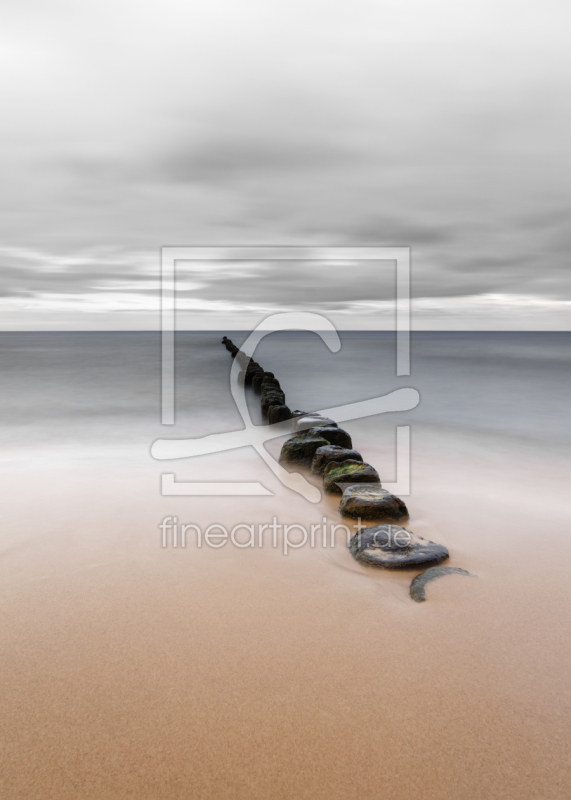 frei wählbarer Bildausschnitt für Ihr Bild auf Fensterfolie