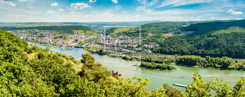 frei wählbarer Bildausschnitt für Ihr Bild auf Fensterfolie