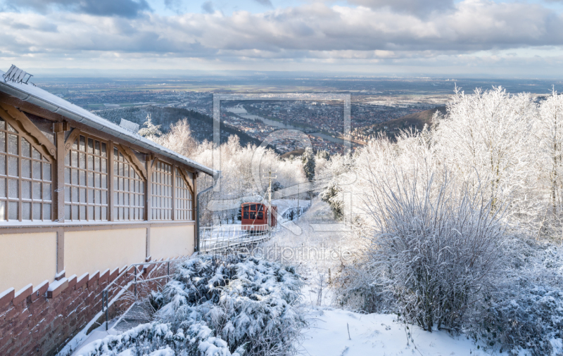 frei wählbarer Bildausschnitt für Ihr Bild auf Fensterfolie