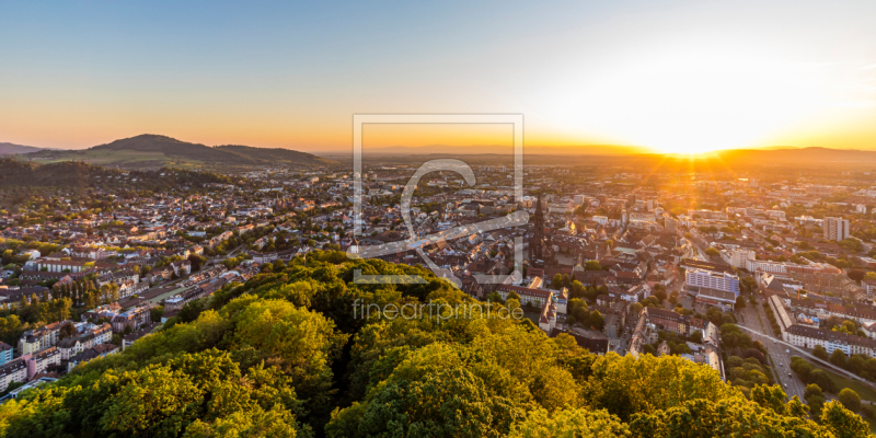 frei wählbarer Bildausschnitt für Ihr Bild auf Fensterfolie