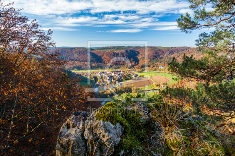 frei wählbarer Bildausschnitt für Ihr Bild auf Fensterfolie