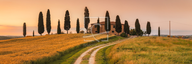 frei wählbarer Bildausschnitt für Ihr Bild auf Fensterfolie