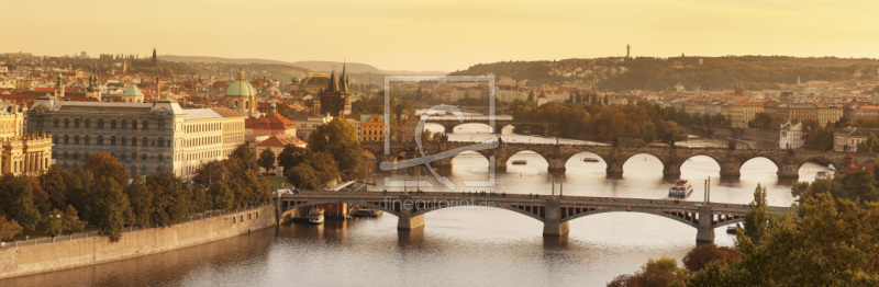 frei wählbarer Bildausschnitt für Ihr Bild auf Fensterfolie