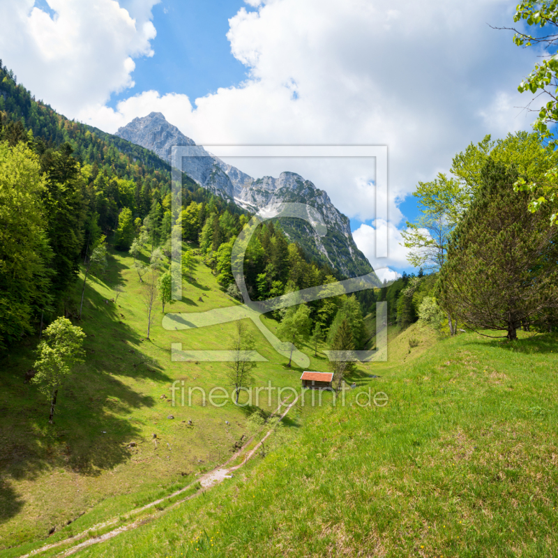 frei wählbarer Bildausschnitt für Ihr Bild auf Fensterfolie