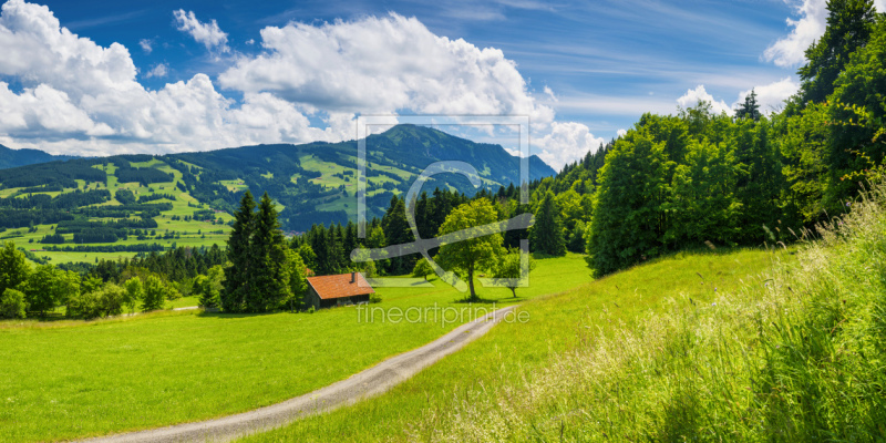 frei wählbarer Bildausschnitt für Ihr Bild auf Fensterfolie