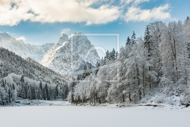 frei wählbarer Bildausschnitt für Ihr Bild auf Fensterfolie