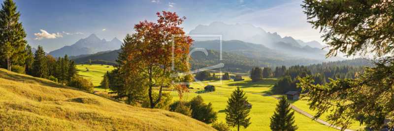 frei wählbarer Bildausschnitt für Ihr Bild auf Fensterfolie