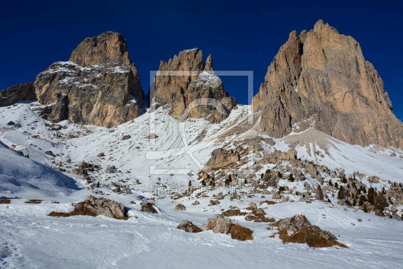 frei wählbarer Bildausschnitt für Ihr Bild auf Fensterfolie