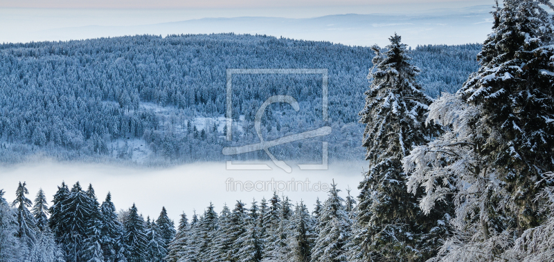 frei wählbarer Bildausschnitt für Ihr Bild auf Fensterfolie