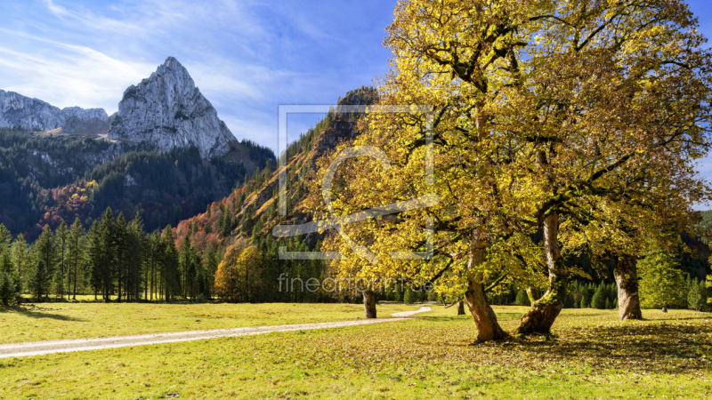 frei wählbarer Bildausschnitt für Ihr Bild auf Fensterfolie
