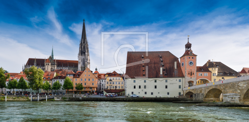 frei wählbarer Bildausschnitt für Ihr Bild auf Fensterfolie