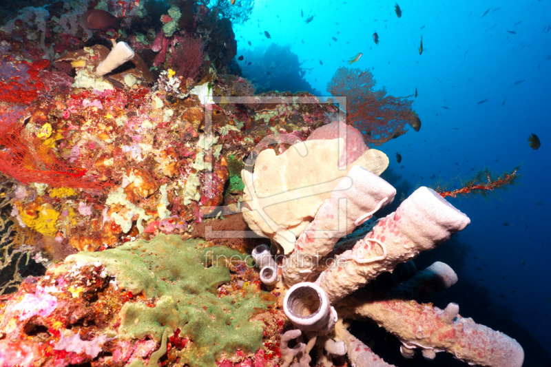 frei wählbarer Bildausschnitt für Ihr Bild auf Fensterfolie