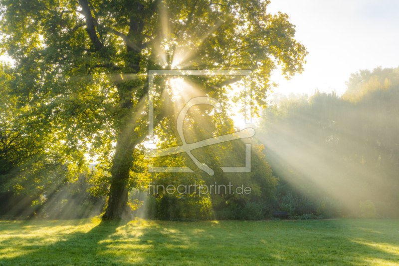 frei wählbarer Bildausschnitt für Ihr Bild auf Fensterfolie