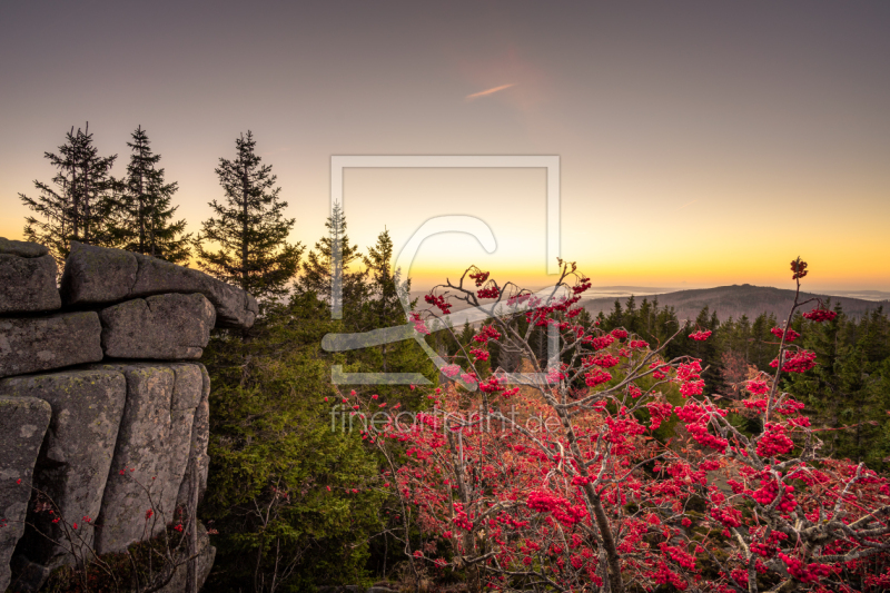 frei wählbarer Bildausschnitt für Ihr Bild auf Fensterfolie