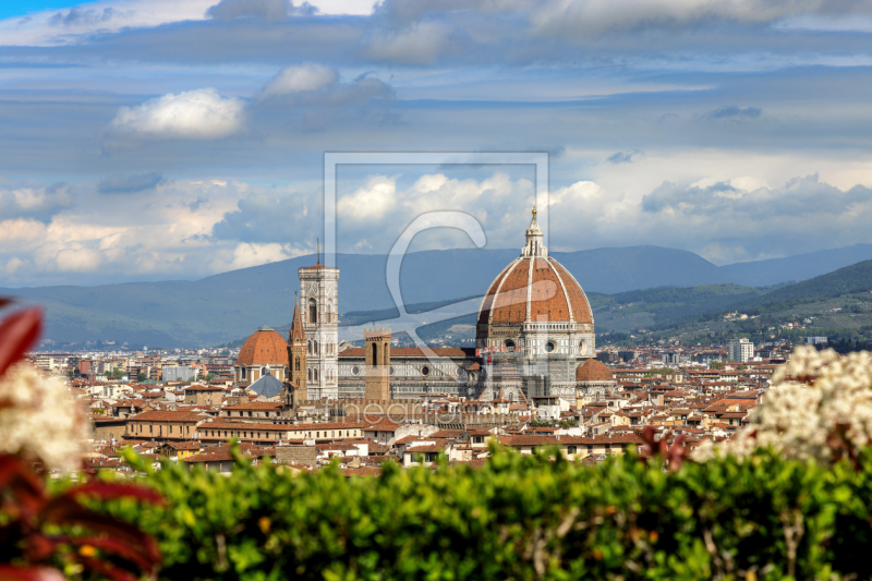 frei wählbarer Bildausschnitt für Ihr Bild auf Fensterfolie
