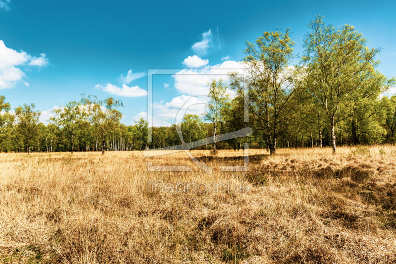 frei wählbarer Bildausschnitt für Ihr Bild auf Fensterfolie