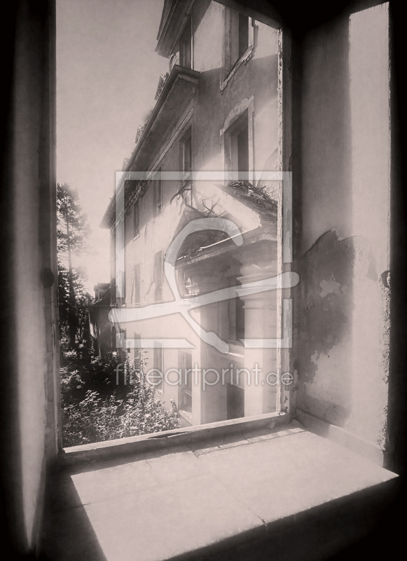 frei wählbarer Bildausschnitt für Ihr Bild auf Fensterfolie